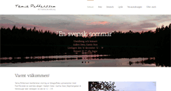 Desktop Screenshot of pettersson-verlag.de